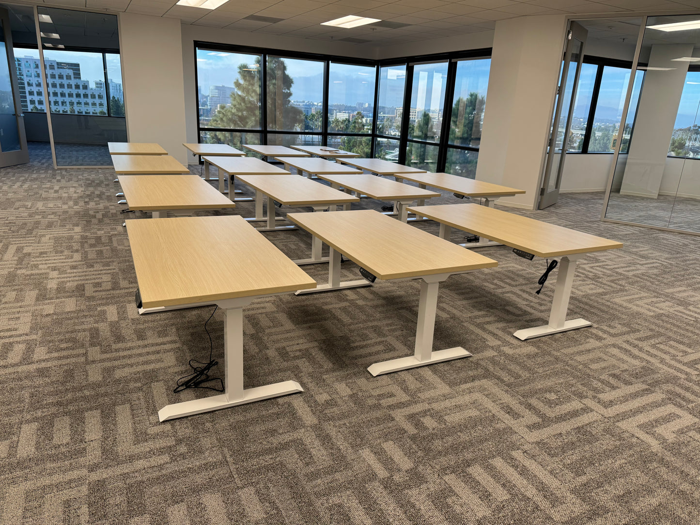 New Elevate ®️Electric Standing desk Base