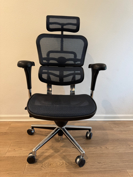 Eurotech Ergohuman ®️ All Mesh High Back Ergonomic Office Chair With Headrest